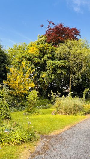 Photo 25- click for photo gallery